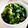 くみみん♪'s cooksnap of when they made 【離乳食】小松菜のふりかけ.