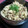 BU－BU's cooksnap of when they made 納豆と鶏そぼろマヨネーズ和え.