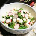 nana_tenjo's cooksnap of when they made 水菜とラディッシュのサラダ♡.