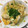 ちゃぎー's cooksnap of when they made 【お店の味】とろとろ玉子の絶品親子丼.