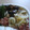 トミュー？'s cooksnap of when they made ★たまねぎいりたまご★.