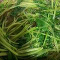 TSUKURUBE's cooksnap of when they made ＊三つ葉の煮びたし＊.