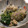 米の華's cooksnap of when they made 菜の花と里芋のごま和え.