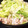 toshi♫'s cooksnap of when they made 簡単！レタスと豚のしょうが鍋.