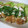 ニコロビン's cooksnap of when they made ねぎのせマヨソースのチキン南蛮風♪.