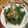 sachinchan's cooksnap of when they made 簡単アスパラガスの梅鰹マヨ和え.