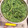 よちりん's cooksnap of when they made よもぎの下処理と保存.