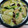 みっちゃん❇️68's cooksnap of when they made 手羽先と白菜の中華煮込み.