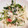 scanty's cooksnap of when they made 三つ葉と大根のゆず胡椒サラダ♫♬.