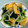 葉っぱのドイリー's cooksnap of when they made ほうれん草と揚げおろし和え♡.
