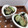 まこさんど's cooksnap of when they made ★きゅうりとわかめの酢の物★.