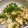 けんよこ's cooksnap of when they made しらすと豆腐の卵炒め.