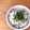 hiroerico's cooksnap of when they made ちくわと塩昆布の混ぜ混ぜご飯☆.