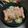クロ８５'s cooksnap of when they made 新玉ねぎとシャウエッセンのおかかバター.