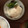 もりりんの森のちこ's cooksnap of when they made かぶの浅漬け.