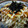 リクトントン's cooksnap of when they made もやしとふわふわたまごのお好み焼き風.