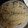 うるママ23's cooksnap of when they made 舞茸と椎茸の炊き込みご飯.