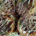 ゆずカフェ's cooksnap of when they made 大判焼き器で*讃岐*の【たこ判】.