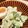 okashilove's cooksnap of when they made 美味！アボガドとブロッコリーのツナサラダ.