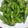 もりのりころ's cooksnap of when they made 枝豆の〝美味しい〟蒸し茹で方！.