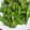 もりのりころ's cooksnap of when they made 枝豆の〝美味しい〟蒸し茹で方！.