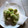 くりくりーん's cooksnap of when they made 初めて作る♪ふきのとうの天ぷら.