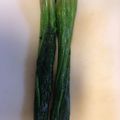 クックQULPYE☆'s cooksnap of when they made ほうれん草の茹で方.