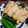 ねずみんパラダイス's cooksnap of when they made 蓮根の春色はさみ揚げ.