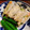 ねずみんパラダイス's cooksnap of when they made 蓮根の春色はさみ揚げ.