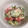 めけめけあろは's cooksnap of when they made トマトときゅうりのツナマヨサラダ.