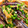⁂romoromo⁂'s cooksnap of when they made ネギの冷凍保存.