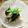 ひトみ's cooksnap of when they made 塩麹とこんぶ茶で、カブとカブの葉の漬け物.