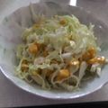 きらり流れ星's cooksnap of when they made コールスロー.