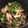 クックPH3Q8X☆'s cooksnap of when they made 10分！キノコのピリ辛ピクルスお酒つまみ.