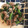 クックZU168P☆'s cooksnap of when they made ヘルシー！小松菜と豚ひきの生姜炒め.