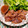 Miella's cooksnap of when they made あるもので簡単手作り♡自家製焼肉のたれ.