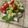 ☆ユッキー17☆'s cooksnap of when they made たこのカルパッチョ.