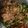 クックM67KM5☆'s cooksnap of when they made ぱぱっと10分！ピーマンとハムの塩炒め.