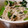 あきつま（杏花☆）'s cooksnap of when they made 【レンジで簡単】つぼみ菜とエノキのお浸し.