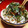 柊＿＿'s cooksnap of when they made 大根おろしでさっぱり★おろしうどん!!.