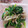 まみりんpink's cooksnap of when they made きのことほうれん草のアンチョビ炒め.
