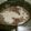 クックTQ3N4B☆'s cooksnap of when they made 炊飯器で簡単☆お赤飯（栗赤飯アレンジ可）.
