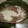 クックTQ3N4B☆'s cooksnap of when they made 炊飯器で簡単☆お赤飯（栗赤飯アレンジ可）.