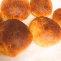 まにもご's cooksnap of when they made スペルト小麦のほわほわ丸パン♪.