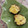 clover♡3's cooksnap of when they made 椎茸の明太マヨ焼き.