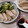 ☆クローバー134☆'s cooksnap of when they made 簡単★冷しゃぶのたれ.