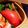 おうちごはん☆'s cooksnap of when they made ❁お弁当に❁ほうれん草と人参の白だし和え.
