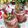 虹色♪︎ちゅーりっぷ's cooksnap of when they made 材料2ツ♡子供と一緒に♡チョコムース.