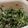 eruchee's cooksnap of when they made 子供が大好きなほうれん草の胡麻和え♡簡単.