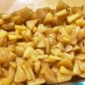 hukuboon's cooksnap of when they made あの味?とろ～り❤アップル　フィリング.